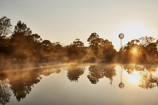 Organic Grass-Fed Beef Bone Broth - Highlands Natural